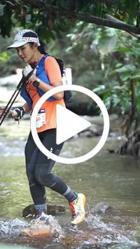 BIB:  <button type="button" onclick="openModal(27808169)" class="btn btn-primary btn-sm float-right" data-toggle="modal" data-target=".modal-high-quality">
                <i class="fa fa-download"></i> Download
                </button>